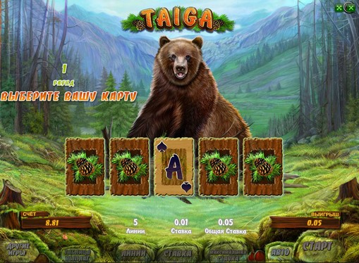 Doubling game of pokies Taiga Doubling game of pokies Taiga