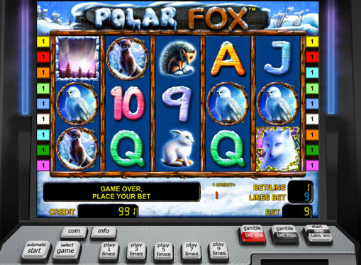 Polar Fox play the pokies online